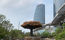 爵士龍戶外音響系統護航廈門某城市公園煥新